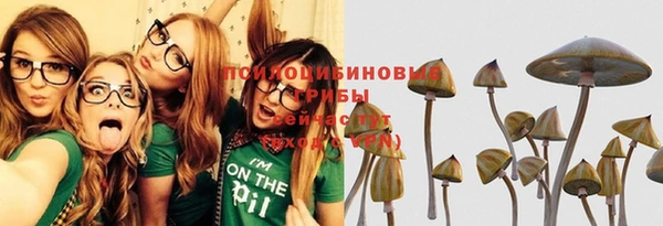 ПСИЛОЦИБИНОВЫЕ ГРИБЫ Аркадак