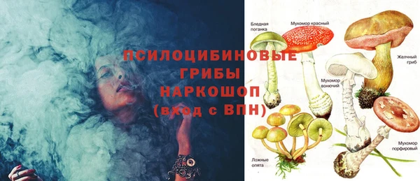 герыч Арсеньев