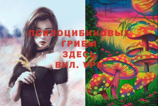дурь Армянск