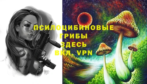 ПСИЛОЦИБИНОВЫЕ ГРИБЫ Аркадак