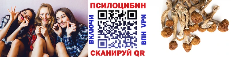 Псилоцибиновые грибы Psilocybe  купить наркотик  Реж 